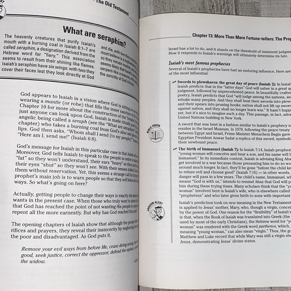 The Bible for Dummies book FREE WITH PURCHASE - Picture 13 of 16